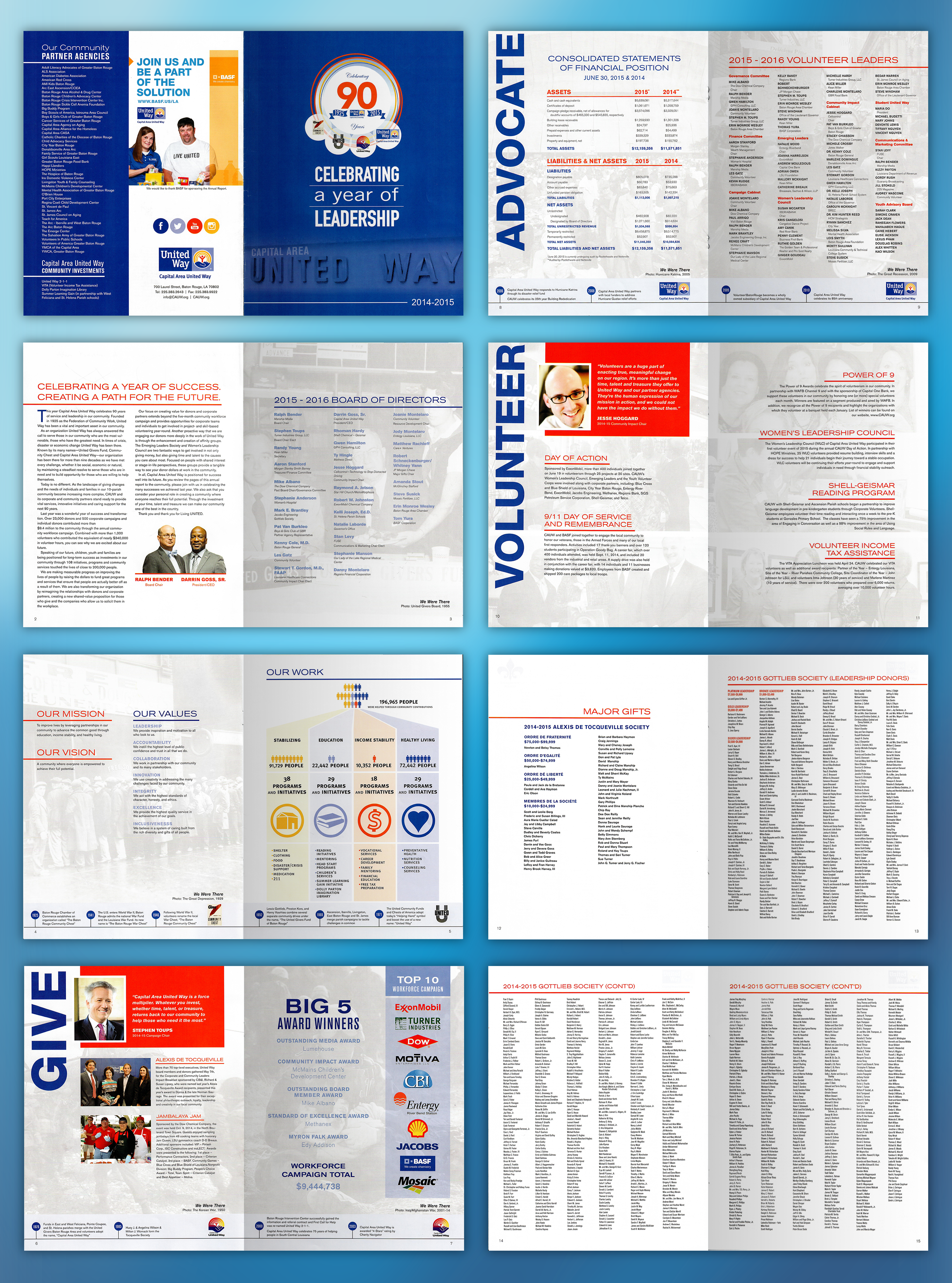 2015 annual report detail