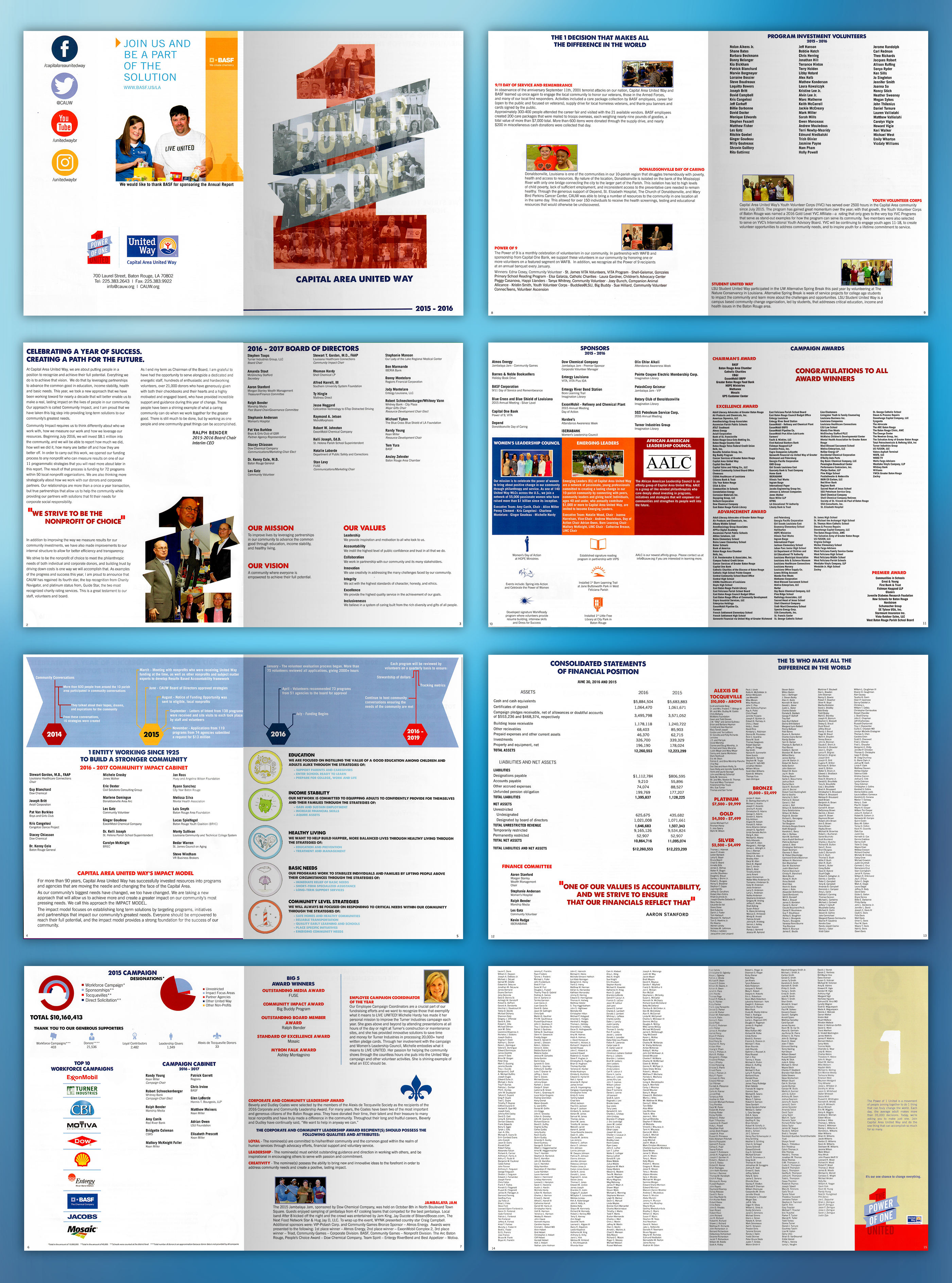 2016 annual report detal