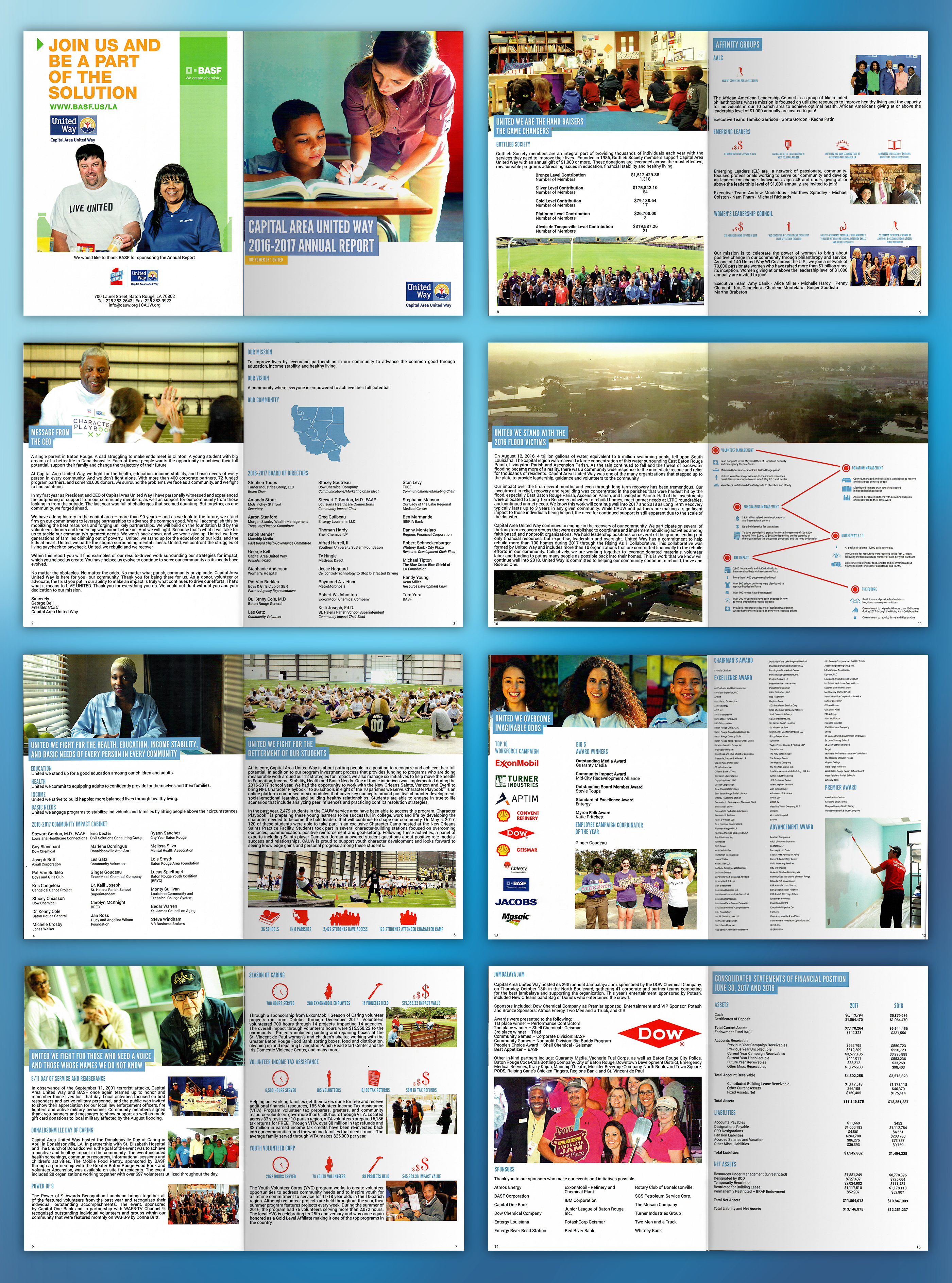 2017 annual report detail